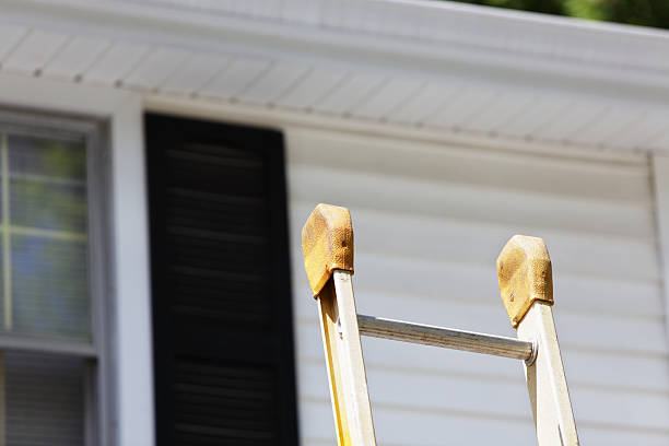 Best Steel Siding Installation  in Weidman, MI